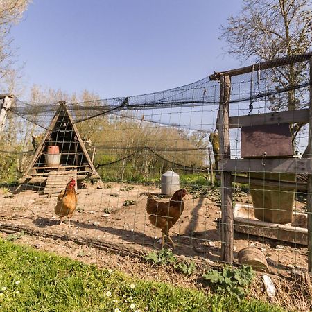 Gite Champetre Renove Avec Terrasse & Equipements, Proche Pornic - Animaux Acceptes - Fr-1-306-1027 Villa Frossay Екстериор снимка
