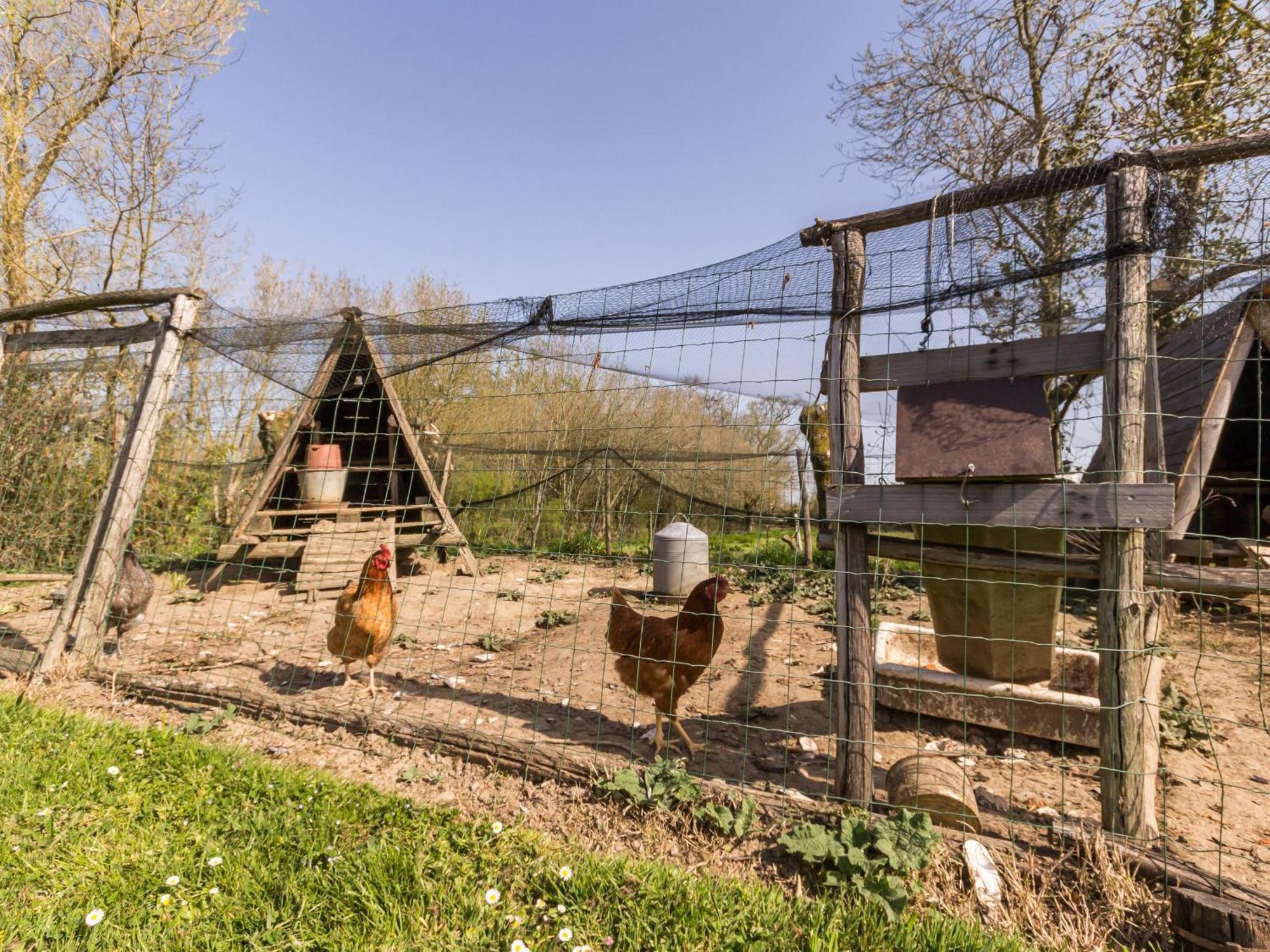 Gite Champetre Renove Avec Terrasse & Equipements, Proche Pornic - Animaux Acceptes - Fr-1-306-1027 Villa Frossay Екстериор снимка